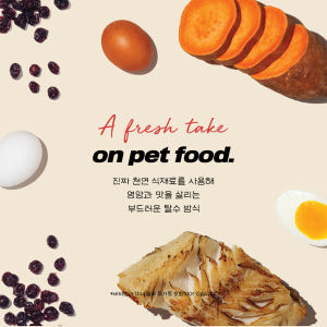 디어니스트키친 탈수건조 알러지 강아지 사료 그레인프리 피쉬 레시피, 1.... 솔직 후기 | 실제 사용자 리뷰 총정리 - 상품 이미지 2