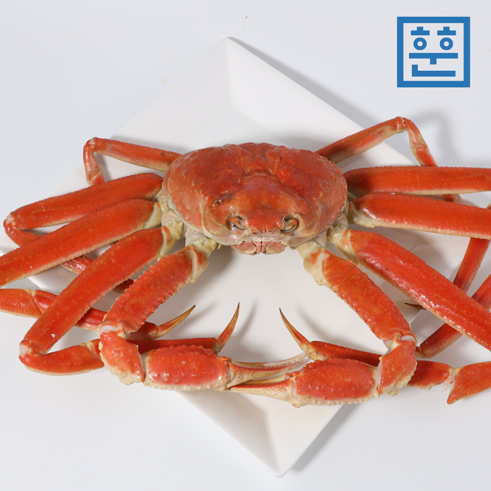 대게 러시아 자숙대게 마가단 특 a급 품질 선어 - 상세 이미지 2