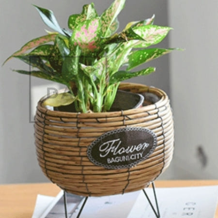 [트렌디프레소협력사]데이슬롯 라탄 스탠드 화분바구니 브라운 플랜테리어 플랜테리어바구니 클래식화분 플랜트바스켓