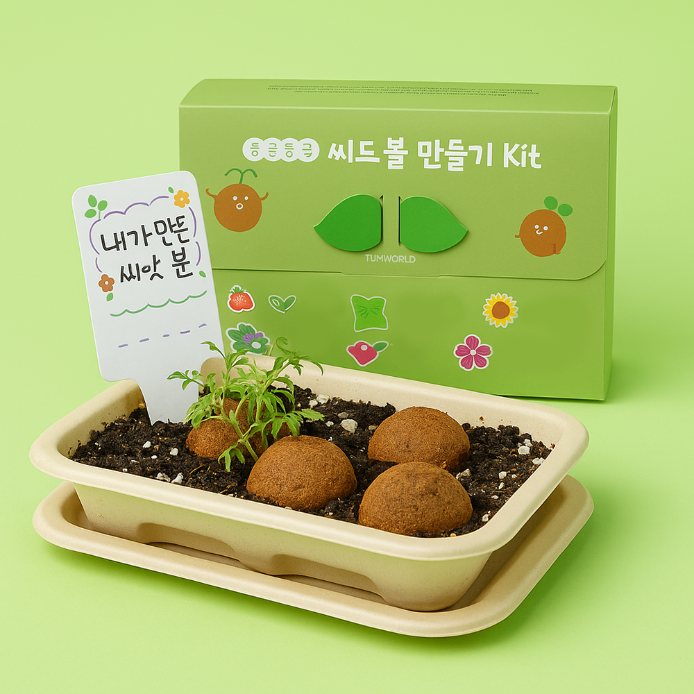 씨드볼 씨앗폭탄 씨드밤 씨앗볼 만들기 유아가드닝 원예체험 키트 - 메인 이미지