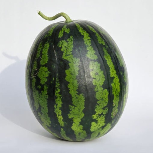 고창 하우스 당도선별 아삭한 꿀수박 산지직송 7kg 이미지 2