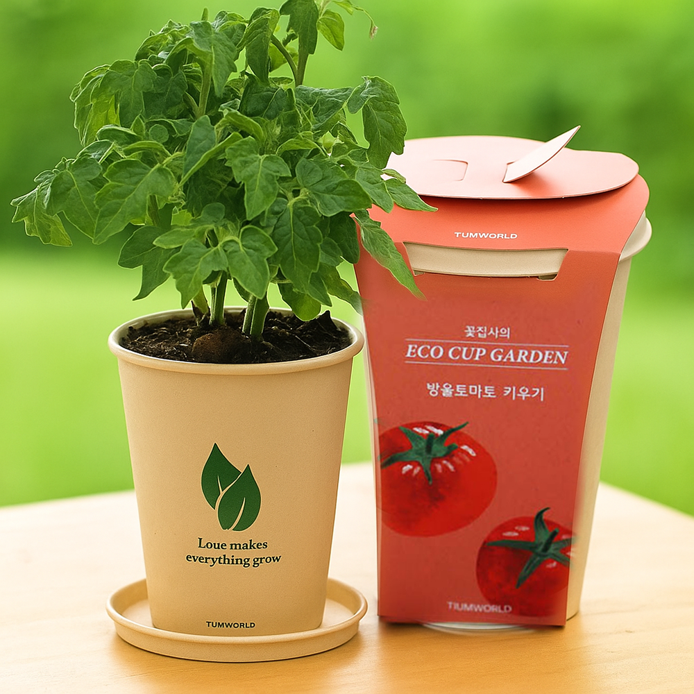 방울토마토 씨드볼 키우기 재배키트 이름표 비료포함