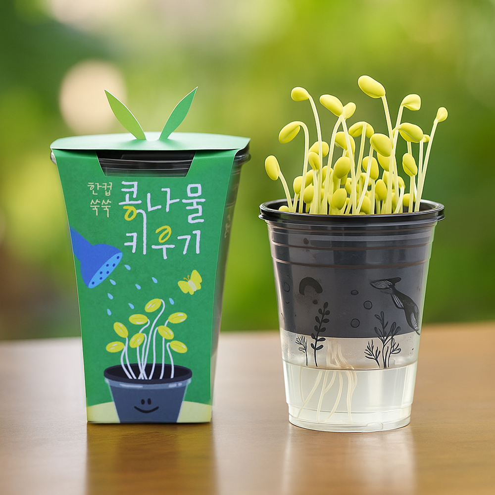 콩나물키우기 어린이 실험 재배 키트 - 메인 이미지