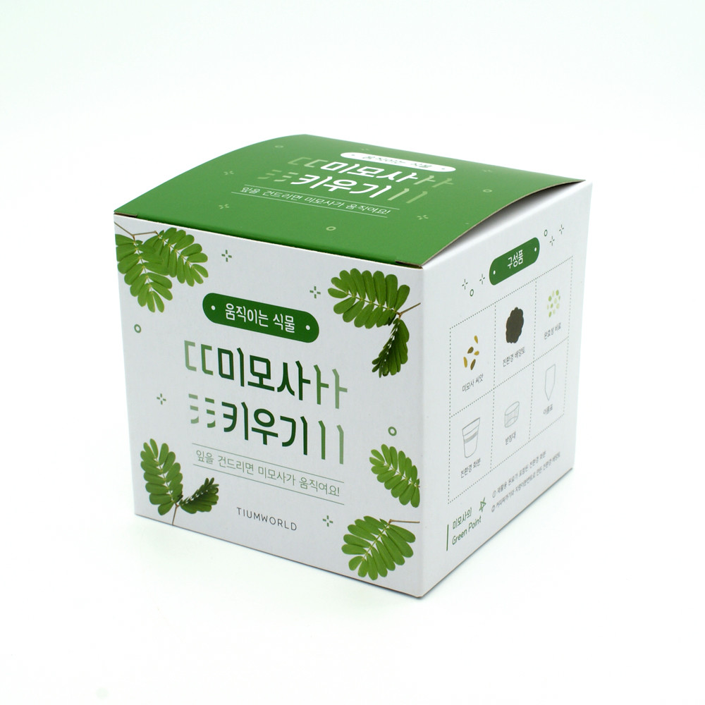 미모사키우기 움직이는식물 신경초 씨앗 재배키트 - 상세 이미지 3