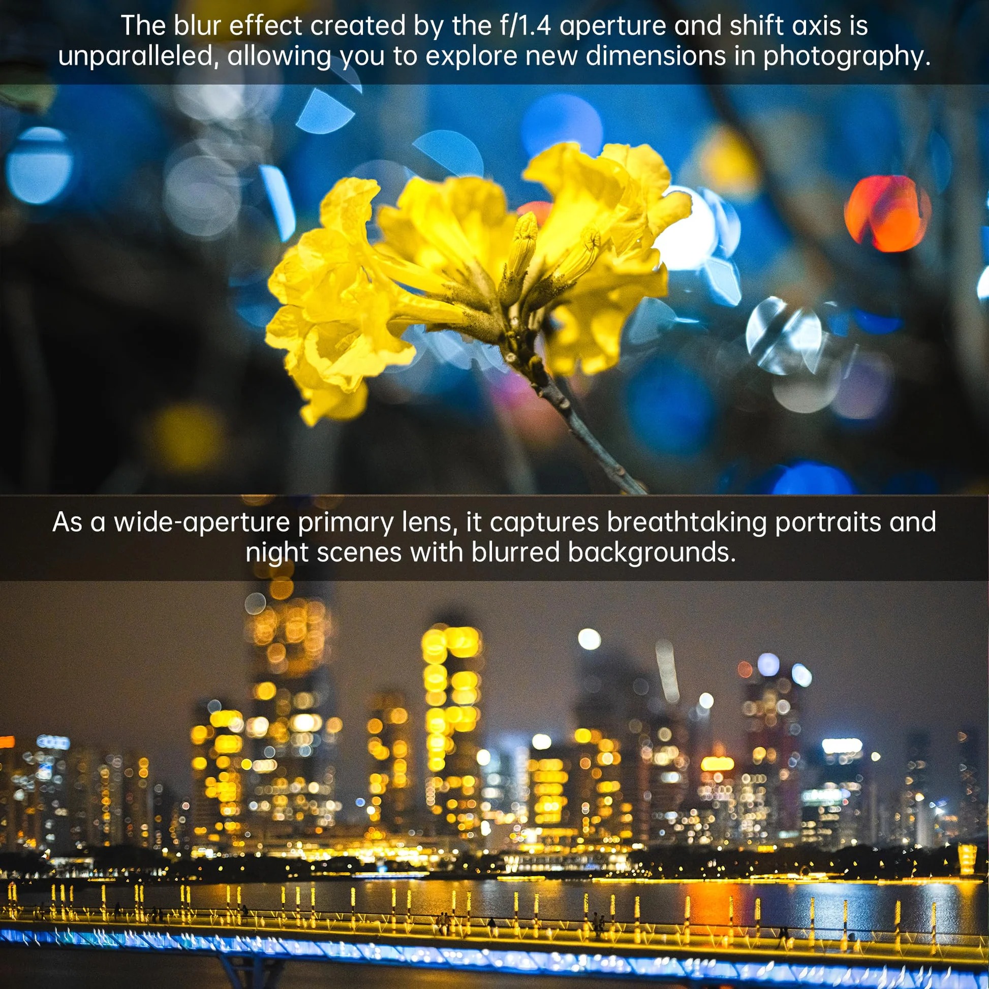 7장인 50mm F1.4 APS-C 틸트 시프트 렌즈 E FX M43 이미지 7