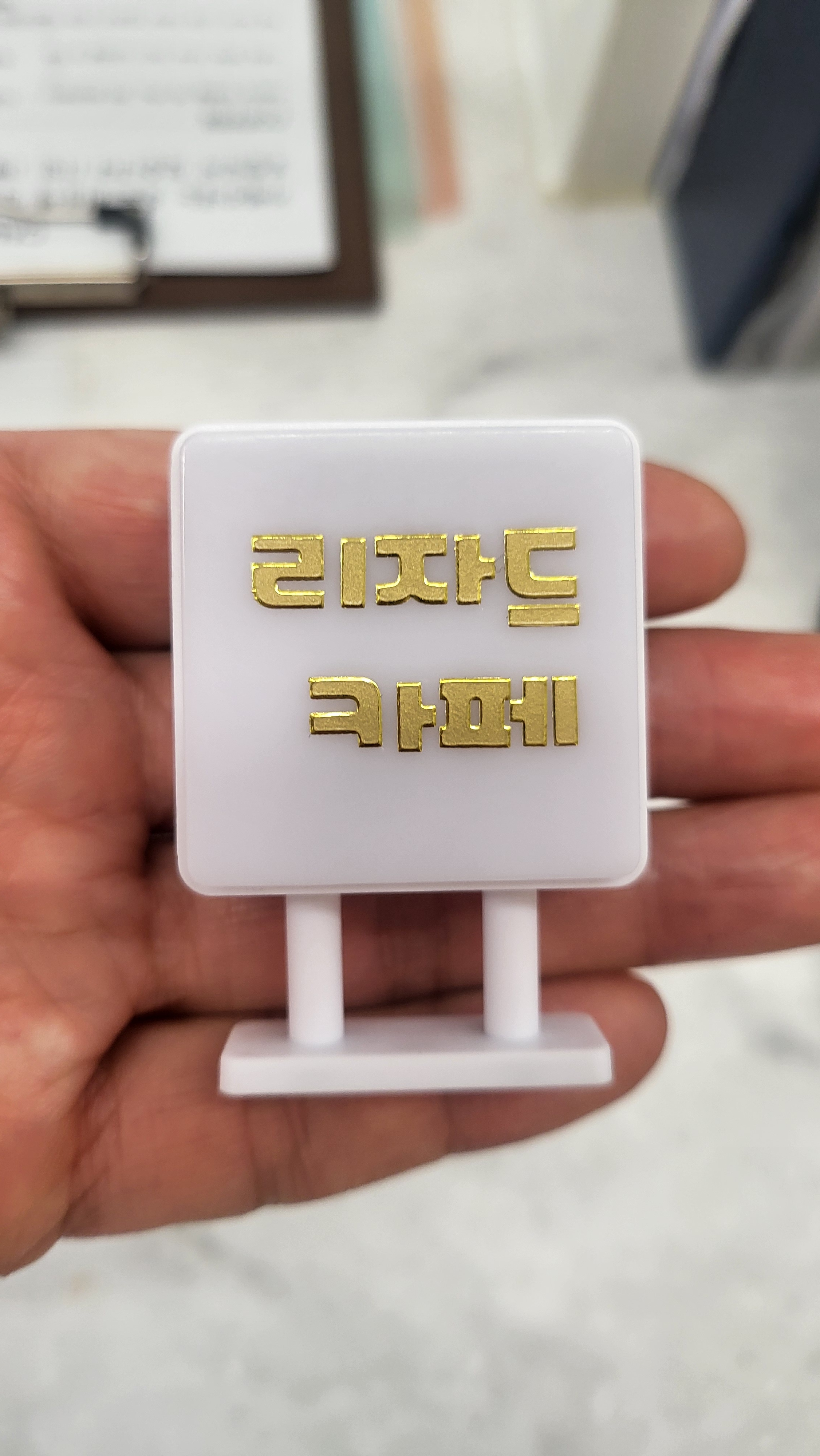 사육장꾸미기 카메리네간판 크레스티드게코 도마뱀 이름표 용품 소동물 도마뱀키우기 햄스터 - 상세 이미지 2