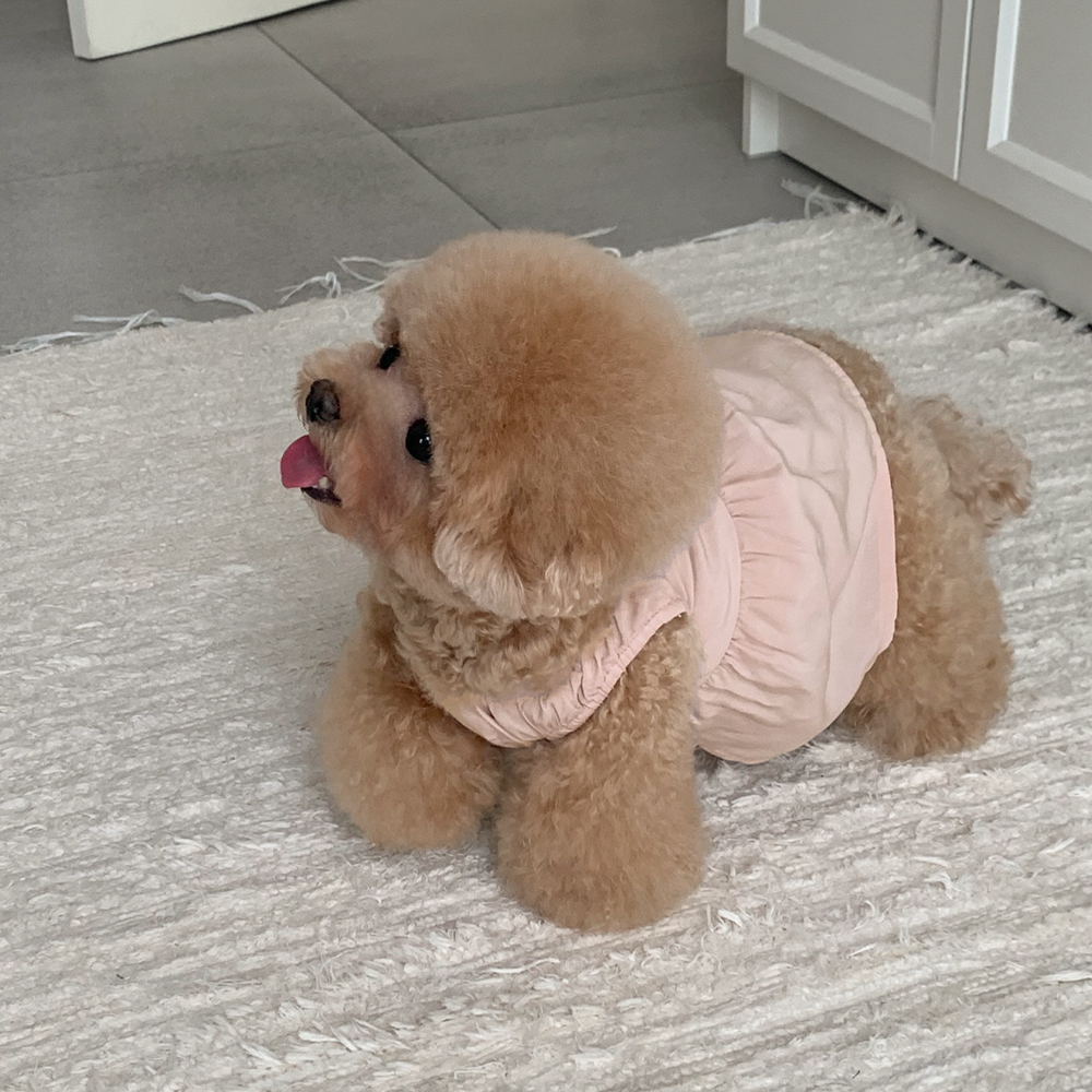 디어마이 강아지잠옷 반려견 펫파자마 2color - 상세 이미지 2