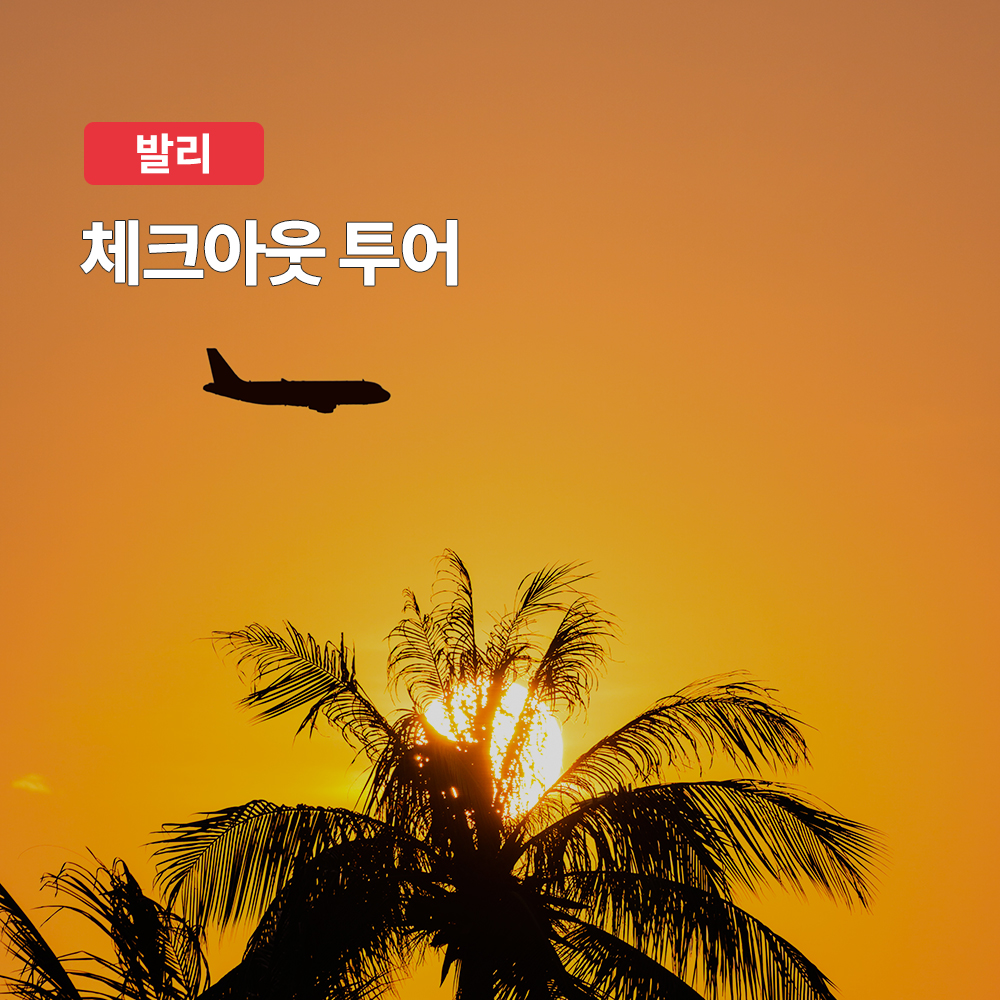 발리 체크아웃 프라이빗 단독 투어 (한국어 가이드, 숙소픽업 공항샌딩 마사지 포함)