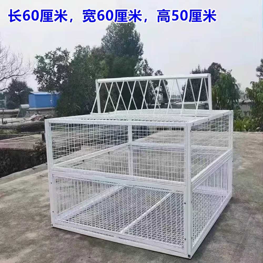 새 포획망 비둘기 덫 조류 용품 철장 농작물 트랩 케이지 60x60x50 이미지 6