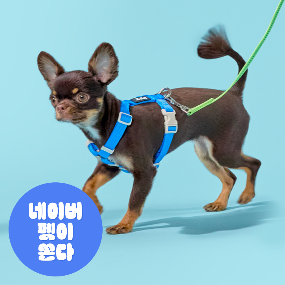 [강형욱X퍼피즈] 피크닉 가슴줄&리드줄 세트