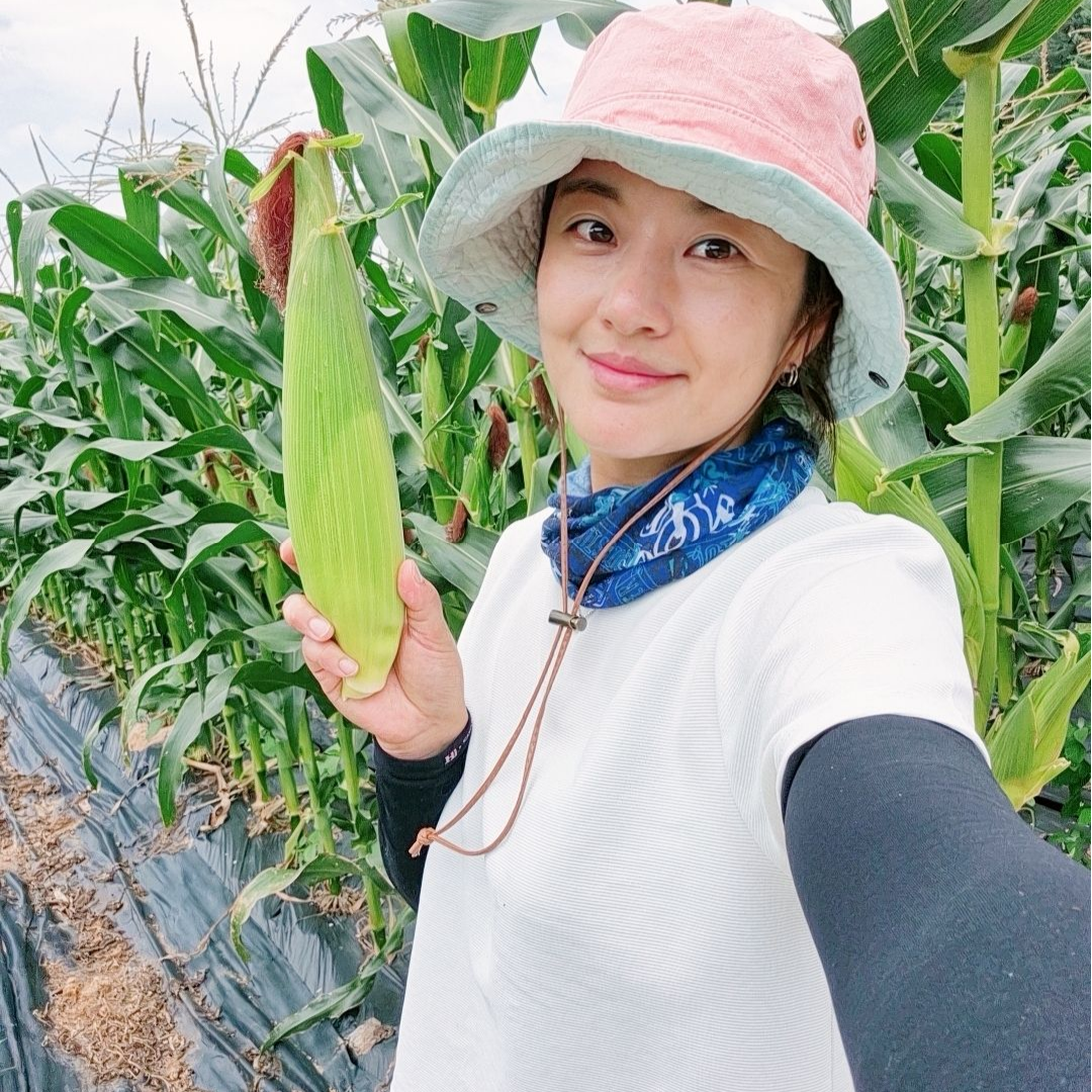 너래안 찰옥수수, 강원도 옥수수, 옥수수 후기, 맛있는 찰옥수수, 옥수수 구매, 옥수수 맛있게 먹는법
