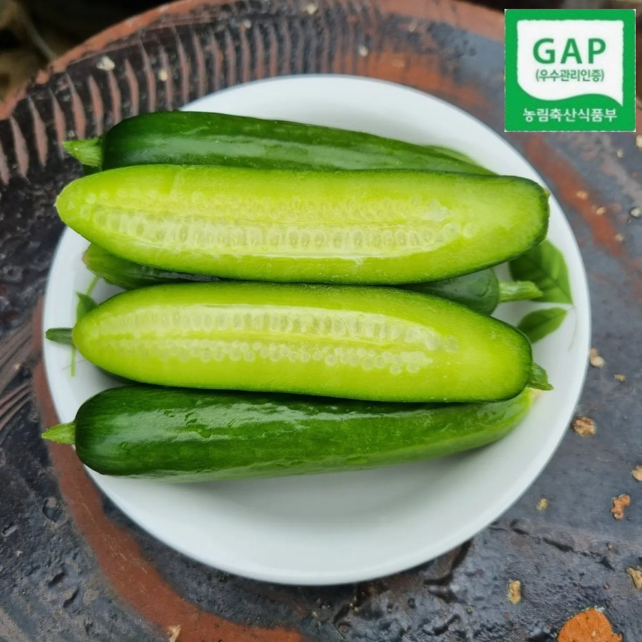 (타임어택 빅딜) GAP인증 미니오이 수분가득 미니스탑 피클 오이지 클로렐라 2kg외 - 상품 이미지