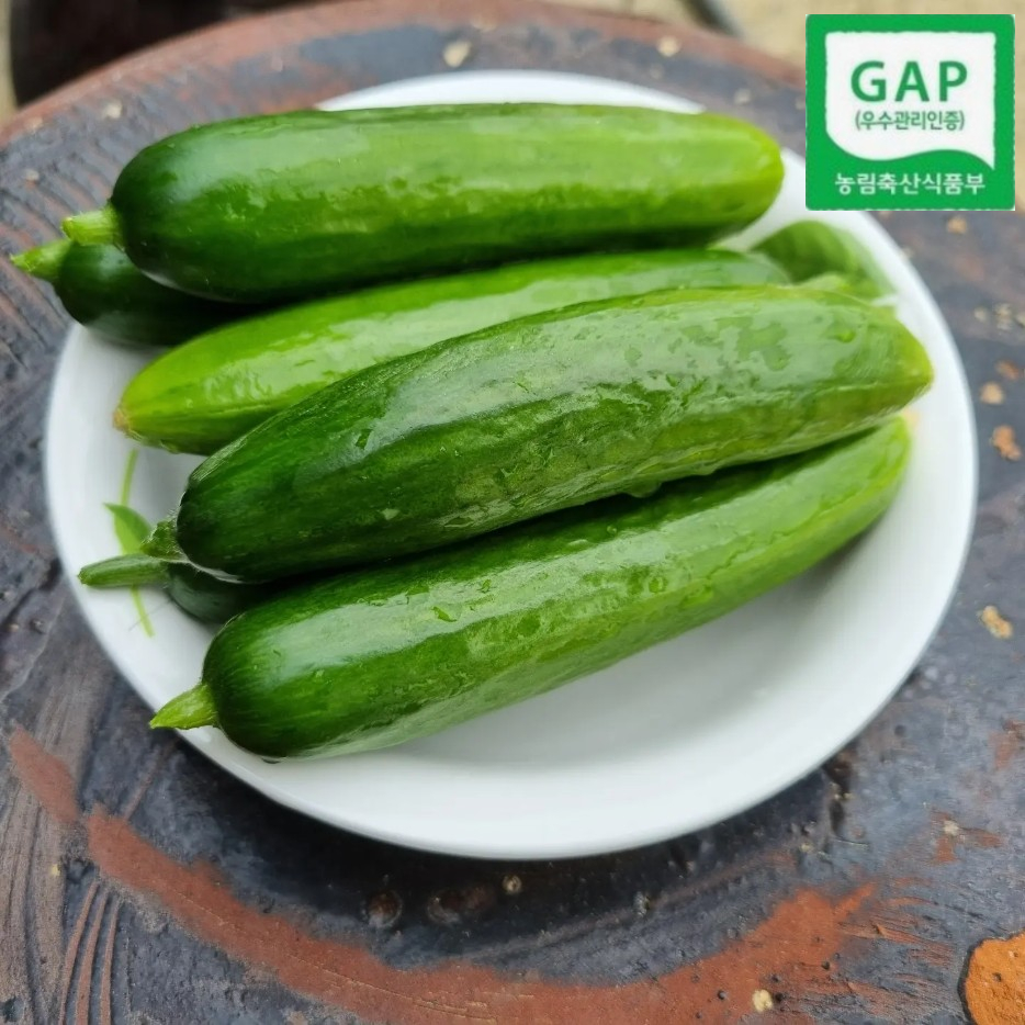 (타임어택 빅딜) GAP인증 미니오이 수분가득 미니스탑 피클 오이지 클로렐라 2kg외 - 상세 이미지 2
