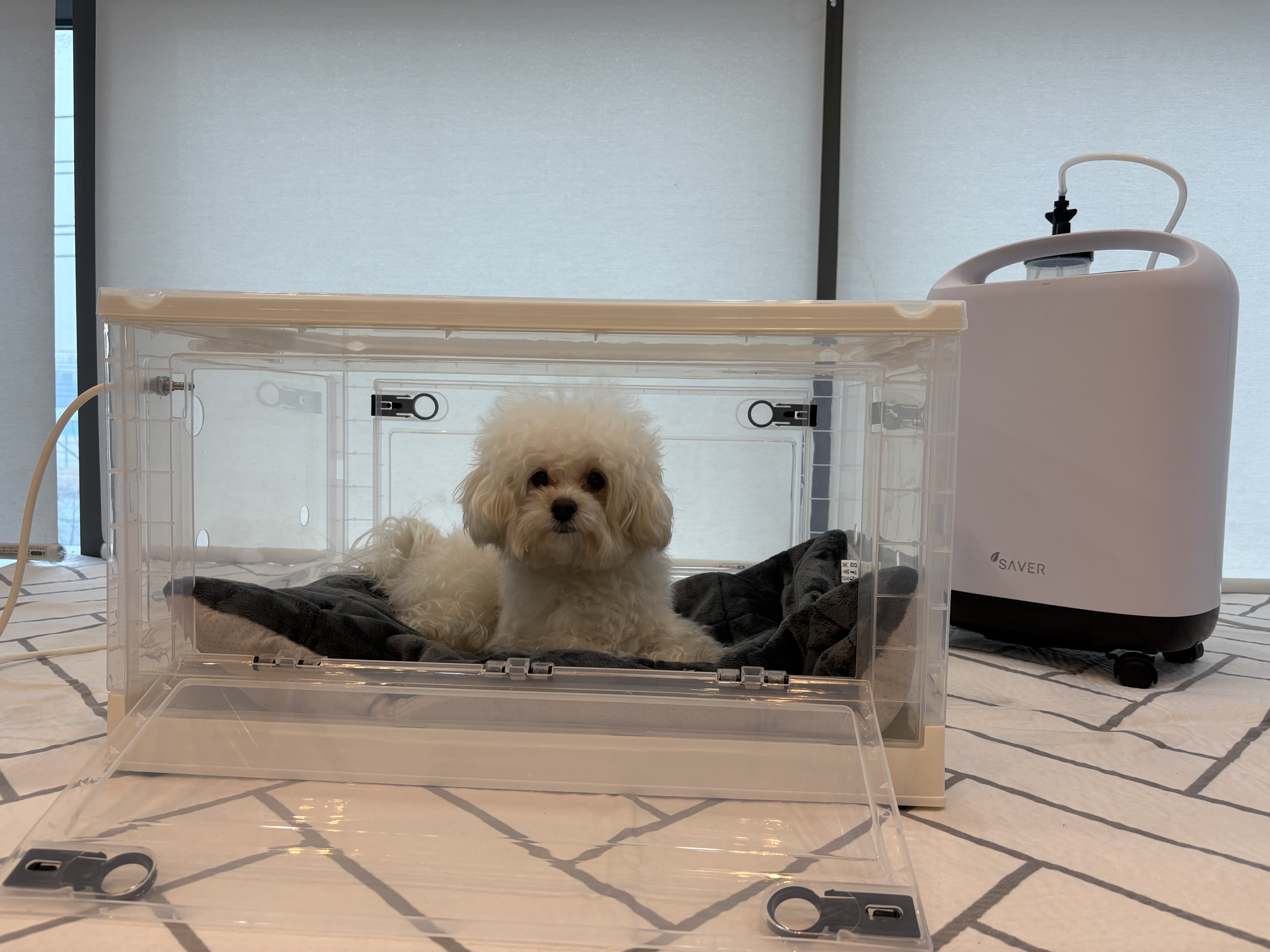 [세이버]강아지 산소발생기 93% 3L 고양이 가정용 렌탈가능(런칭이벤트 산소방 제공) - 상세 이미지 2