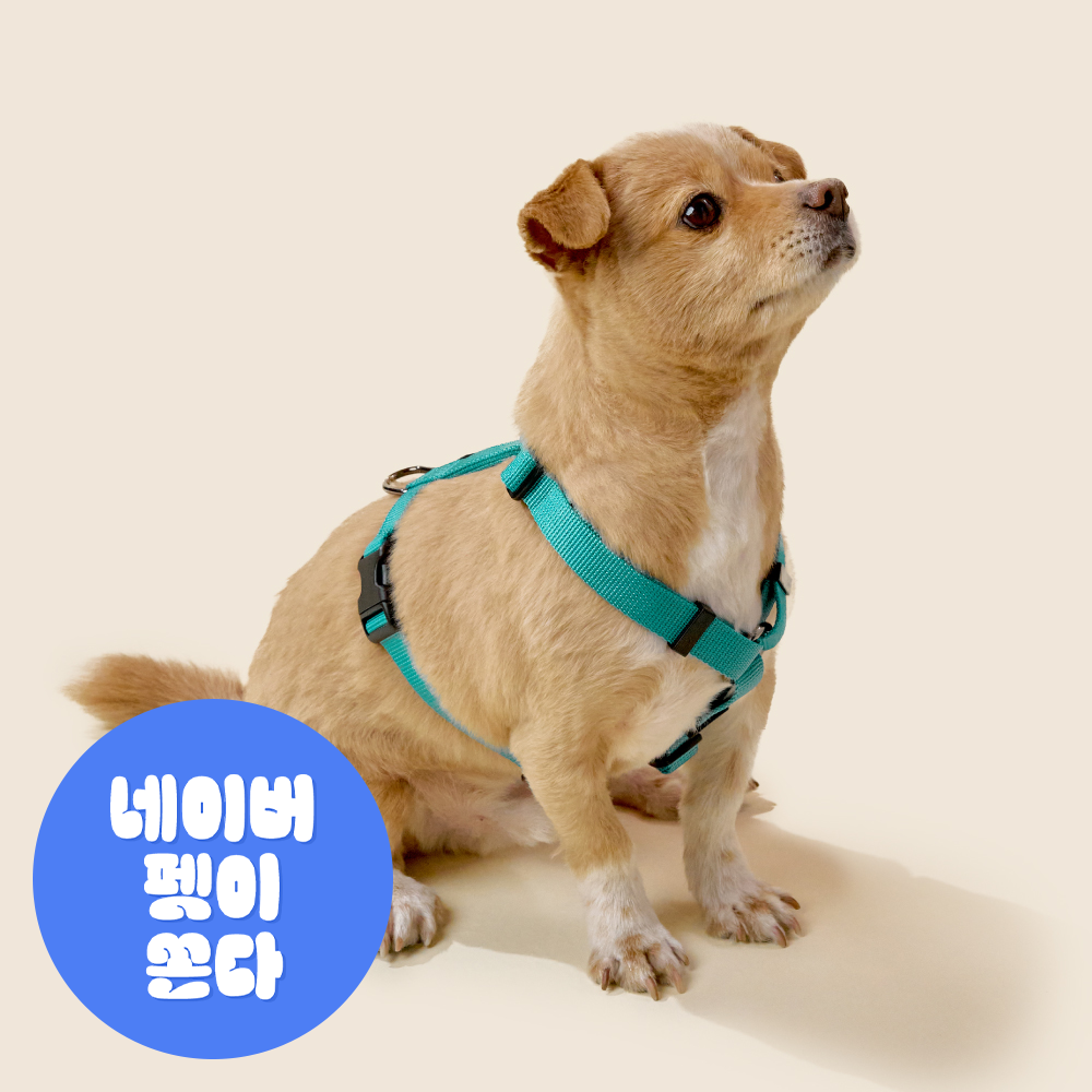 [강형욱X퍼피즈] 퍼피즈 어드벤처 가슴줄 (후크형), 강아지 하네스 목줄 산책줄