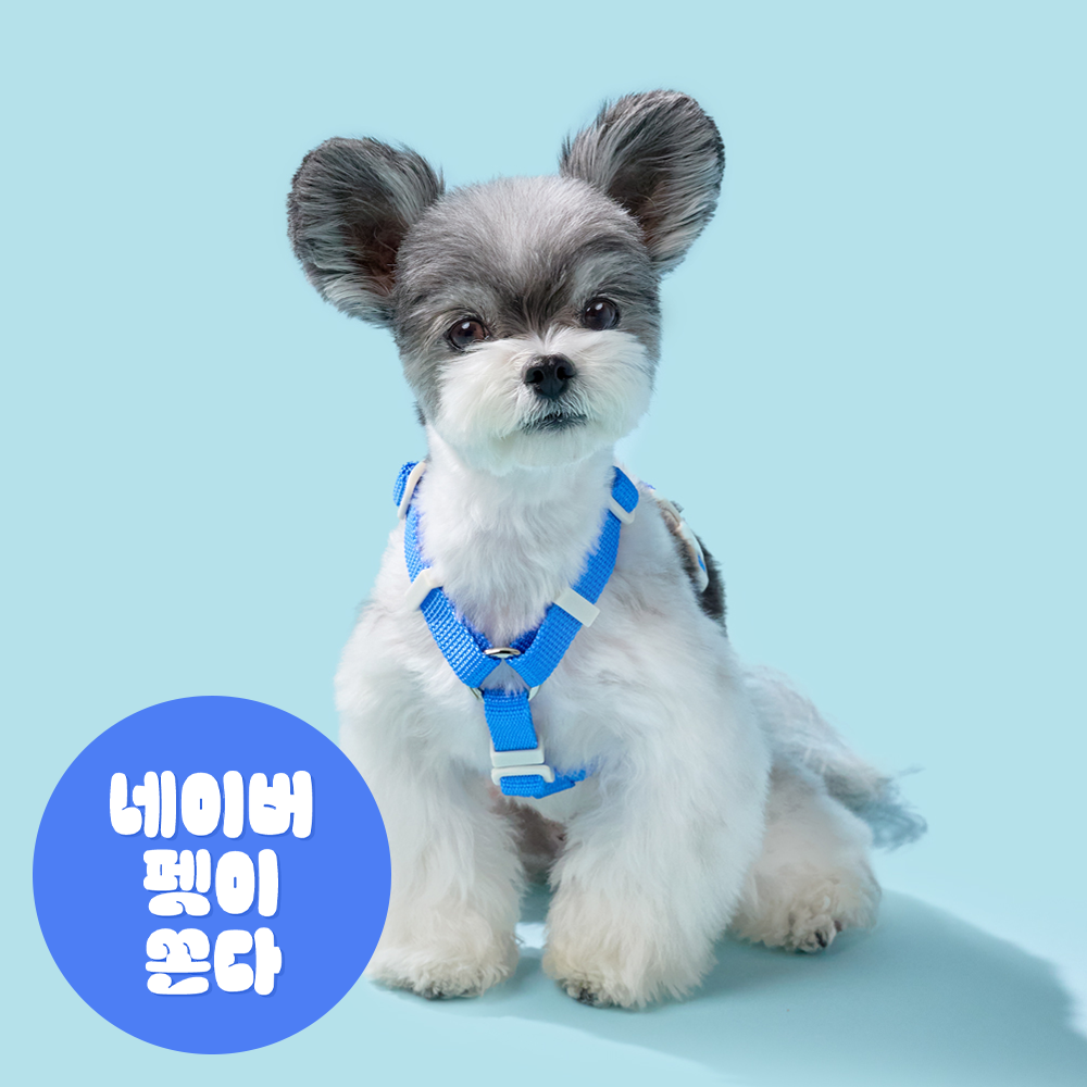[강형욱X퍼피즈] 피크닉 가슴줄, 강아지 하네스 목줄 산책줄