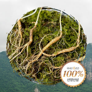 산양삼 한뿌리 자색양파즙 30포, 1박스 친정아빠건강즙 맛있게 먹은 솔직 후기 - 상품 이미지 3