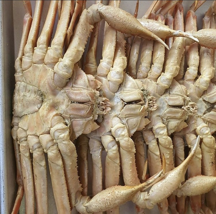 러시아 마가단 프리모리 활 대게 2kg 3kg 1-3미 내외 특 S급 선별배송 이미지 7