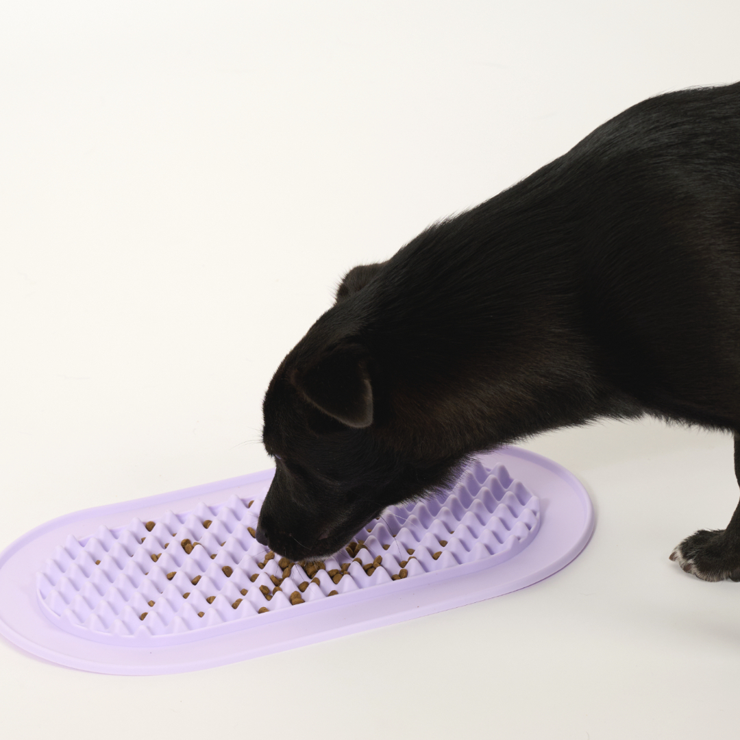 핸독 슬로우식기 급체방지식기 강아지급체방지밥그릇