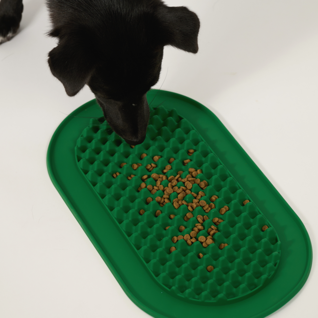 핸독 급체방지식기 강아지슬로우식기 강아지급체방지밥그릇