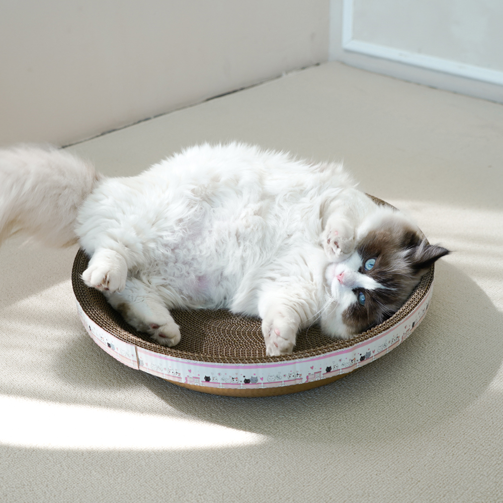 개과천선 어몽드 글램 고양이 스크래쳐 평판형 골판지 발톱 관리 스트레스 해소 소파 방석 - 상품 이미지