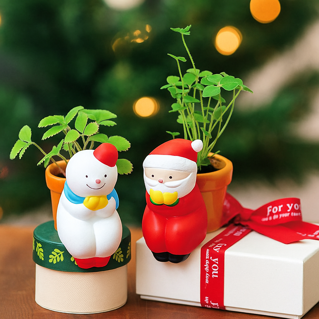 세잎클로버 미니딸기 씨앗 키우기 선물