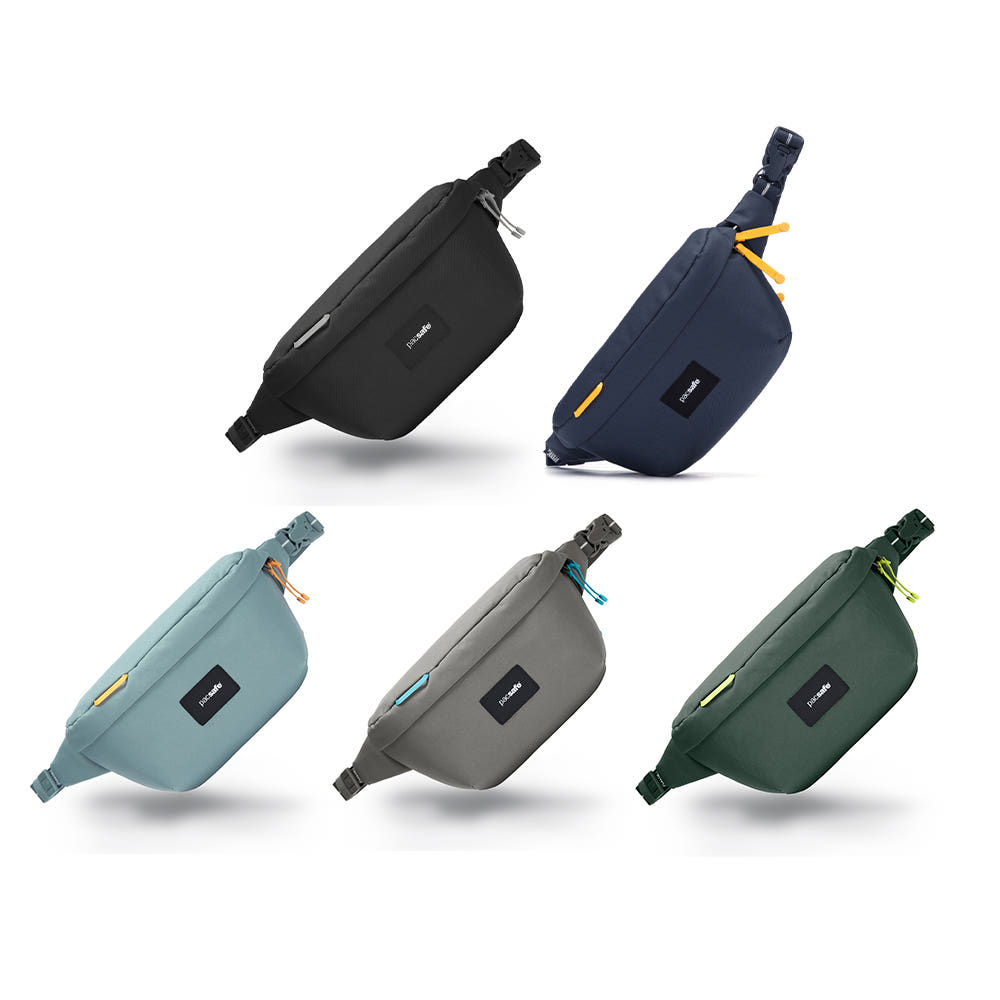 3. 팩세이프 GO ..