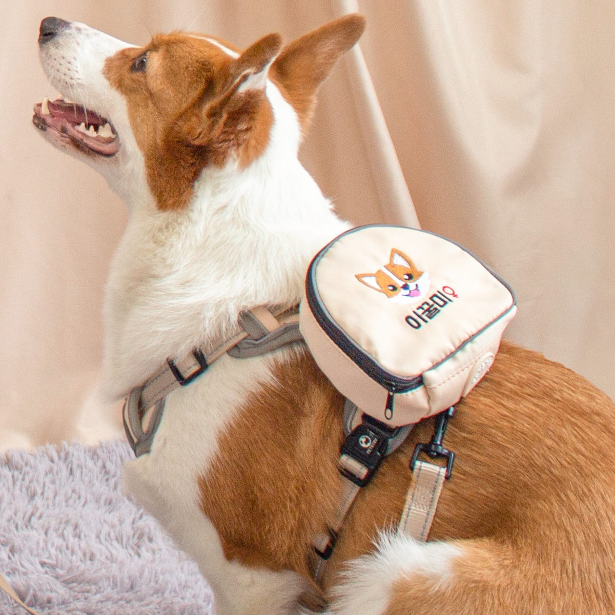 펫스츄리 강아지 앞섬방지 커스텀 가방 쿠션 조끼 H형 백팩 에어백 하네스 XS S