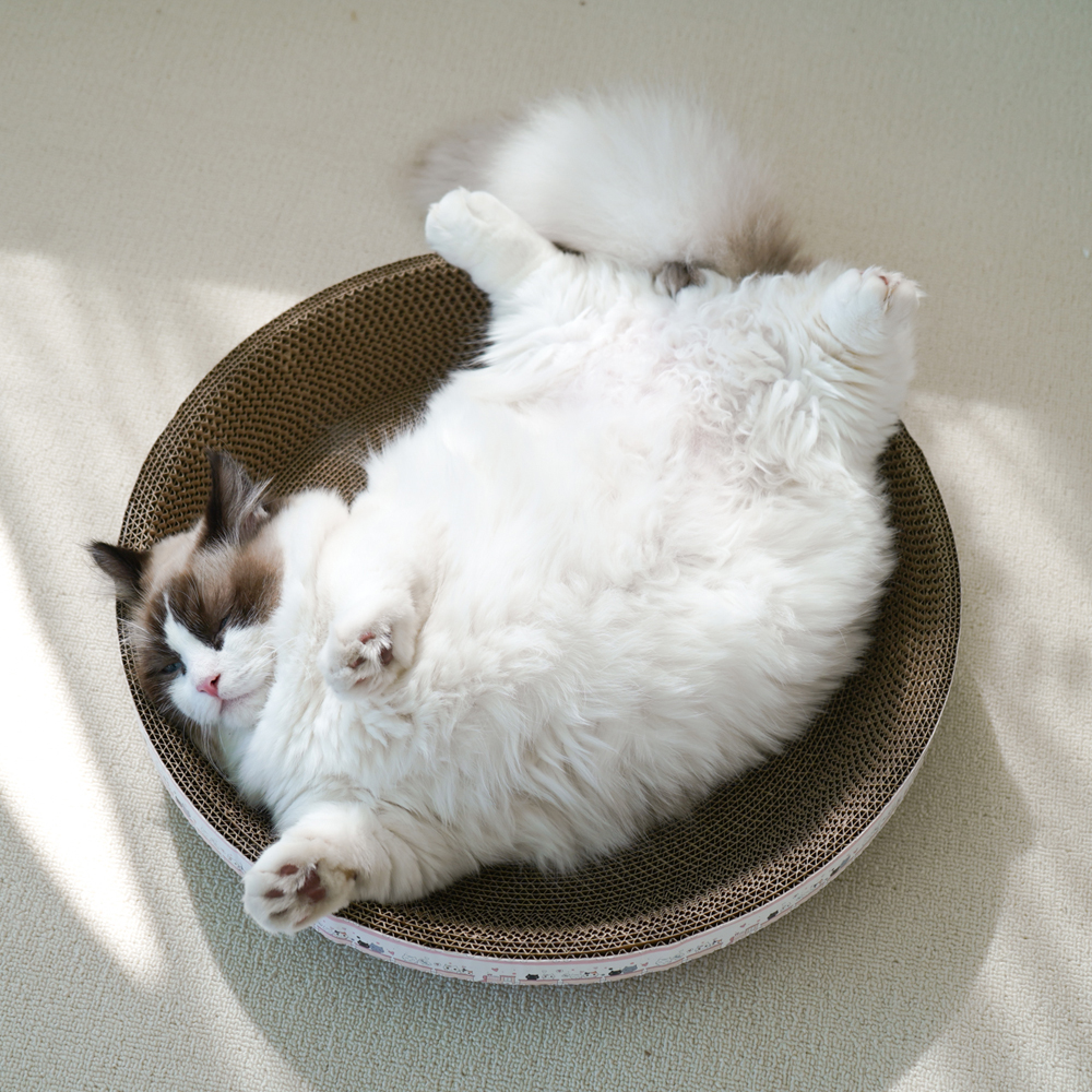 개과천선 어몽드 글램 고양이 스크래쳐 평판형 골판지 발톱 관리 스트레스 해소 소파 방석 - 상세 이미지 2