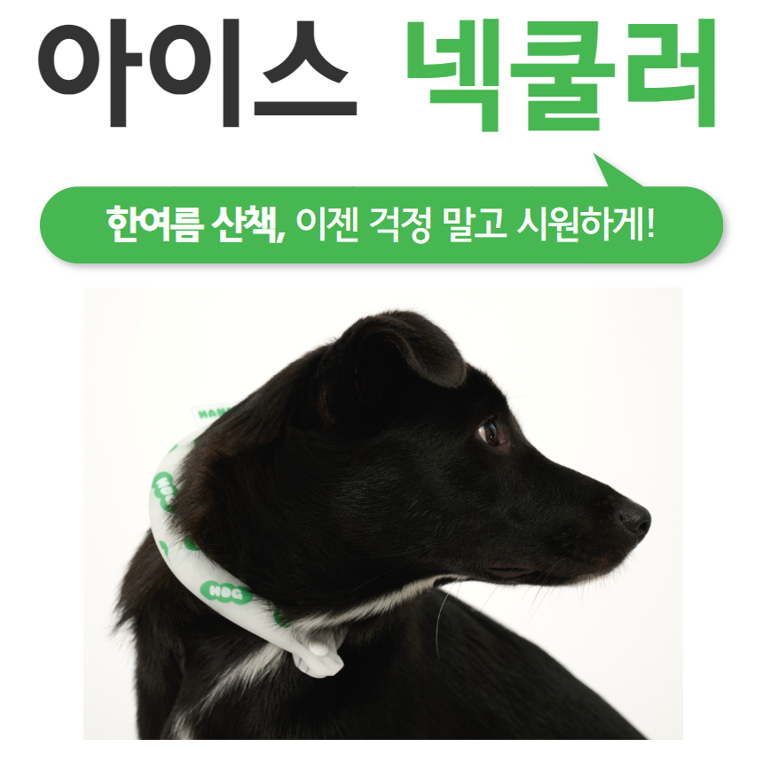 [평점 4.81] 핸독 강아지쿨스카프 강아지넥쿨러 - 상세 이미지 2
