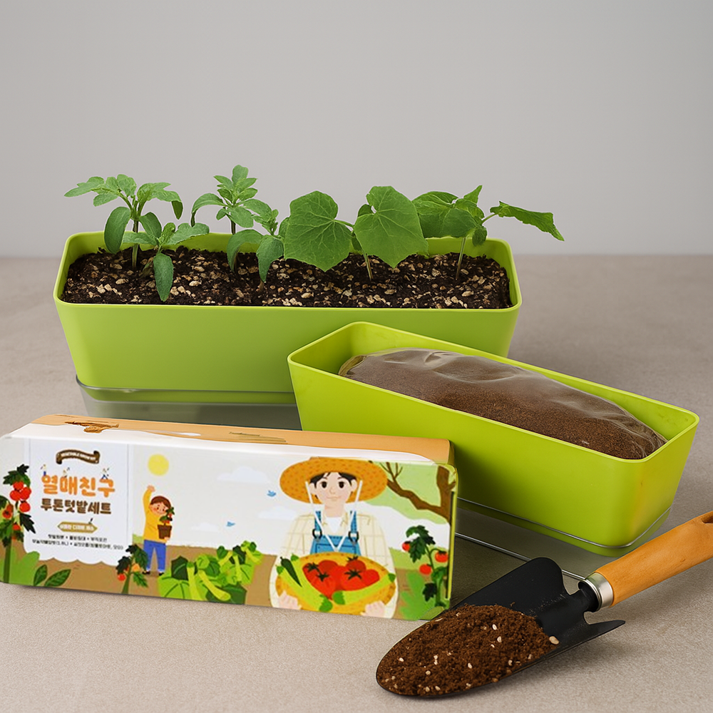 미니오이 방울토마토 씨앗 같이 키우기 재배 키트