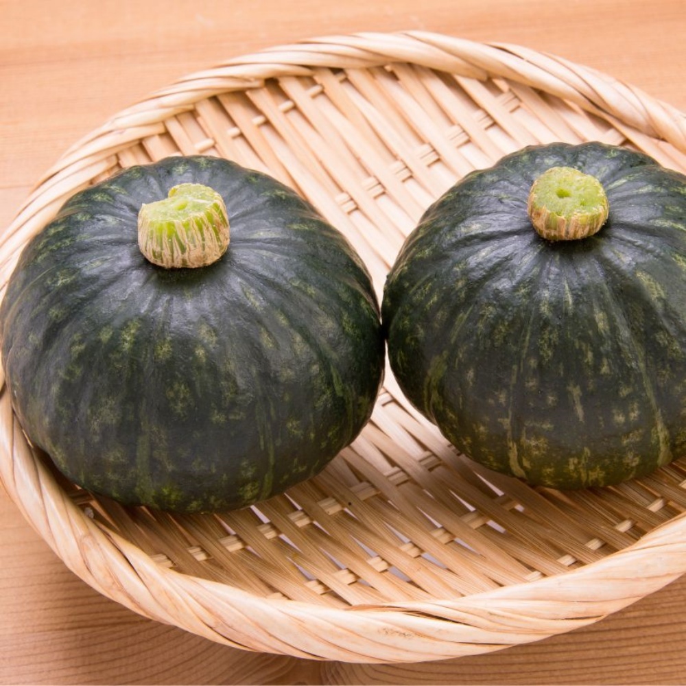 햇미니밤호박 보우짱 제주밤호박제철 보짱 국내산 맛있는 제주도미니단호박 2kg, 1개 - 상품 이미지