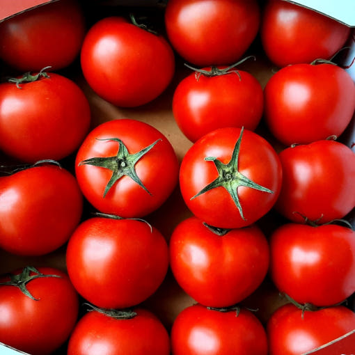 thumbnail-4