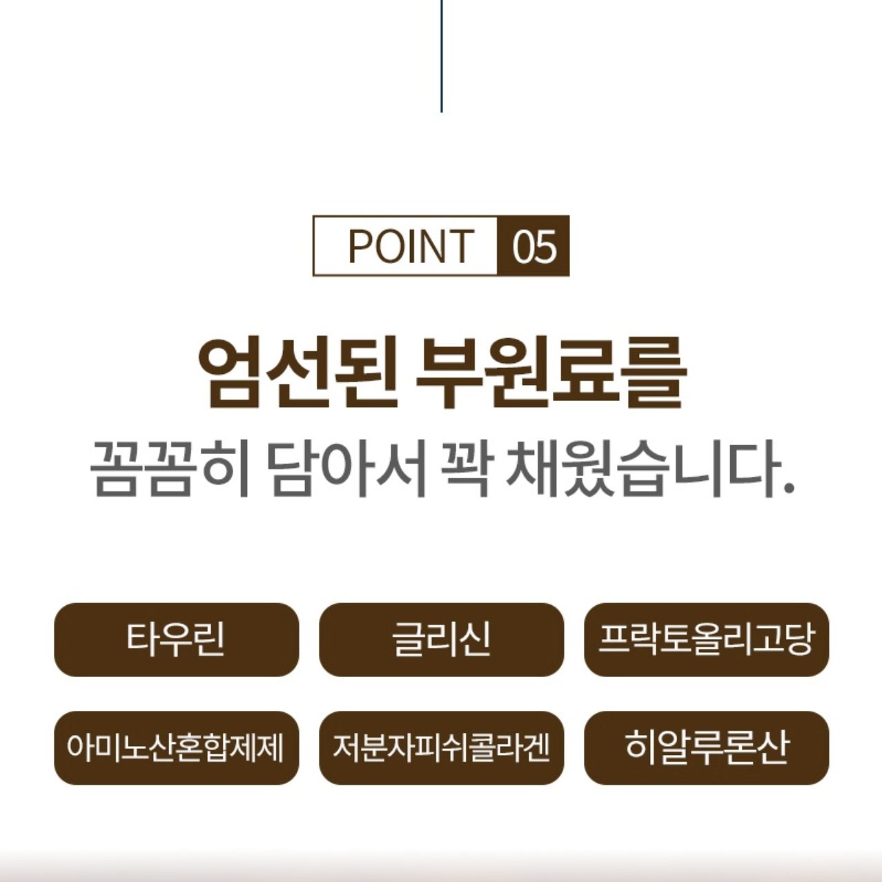 철갑상어 연골 콘드로이친 뮤코다당단백 저분자 90정 콘도로이친 코드로이틴 리포좀콘드로이친 - 상세 이미지 5