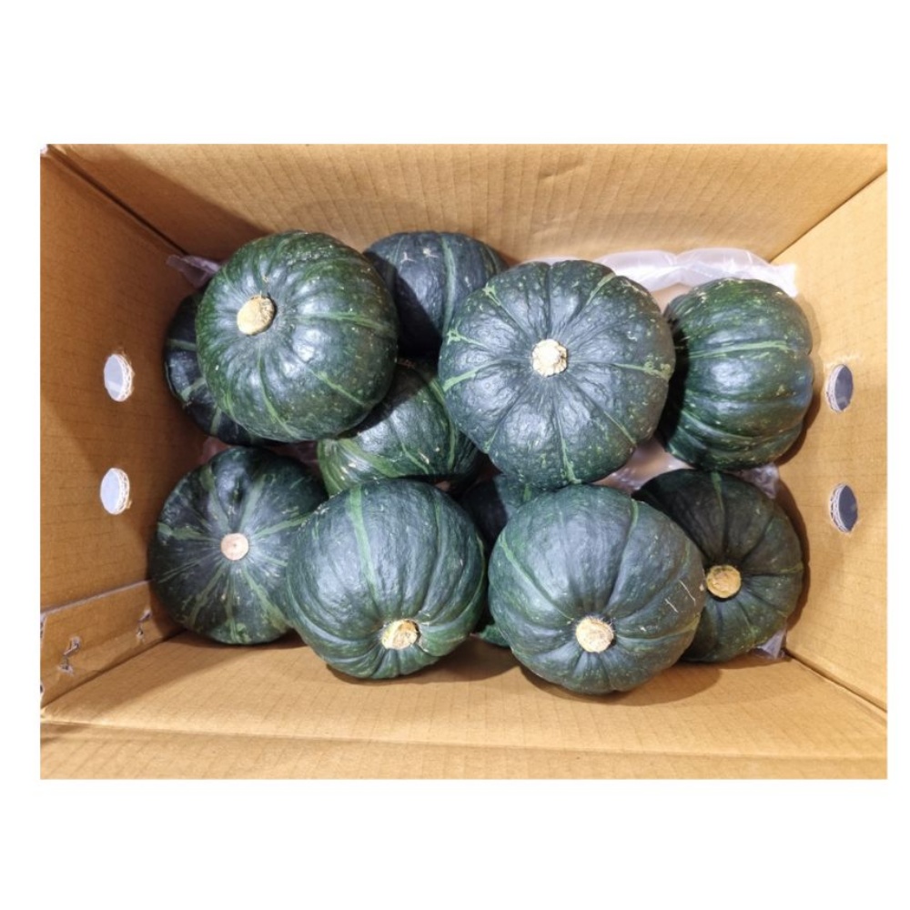 소소한밭 제주 미니 밤호박 보우짱 단호박 미니 호박 10kg, 1개 - 상세 이미지 4