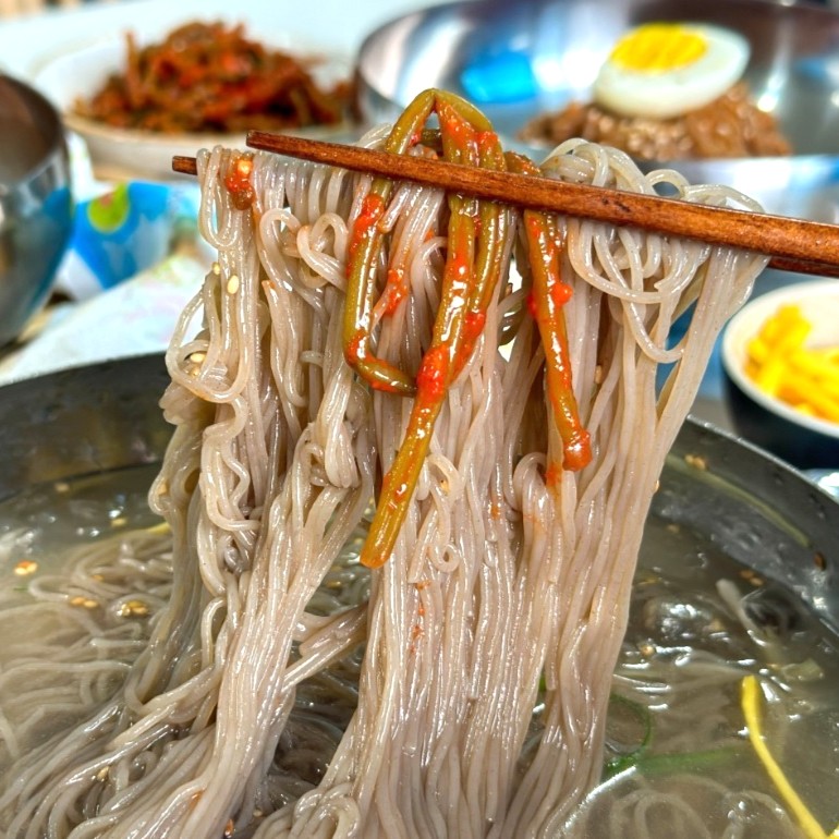 얼음골 메밀 물냉면 비빔냉면 세트 5인분 이미지 8