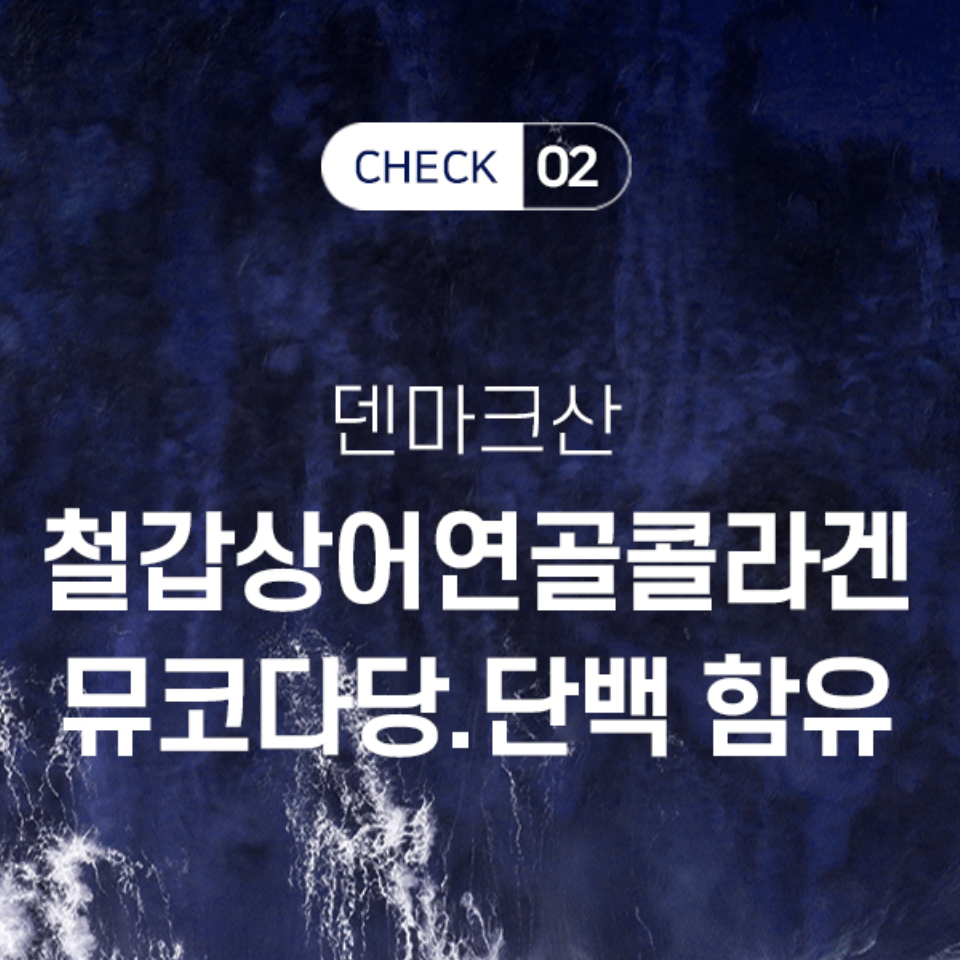 철갑상어 콘드로이친 MBP 1200 뮤코다당단백 상어 연골 콘트로이친 콘도로이친 콘드로이틴 - 상세 이미지 2