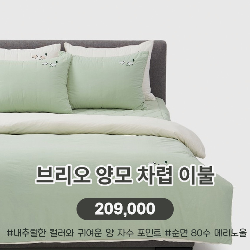 레노마홈 리오 양모 차렵이불 고밀도면80수 양모 먼지없는 차렵이불 판매처 상세 정보 이미지 4