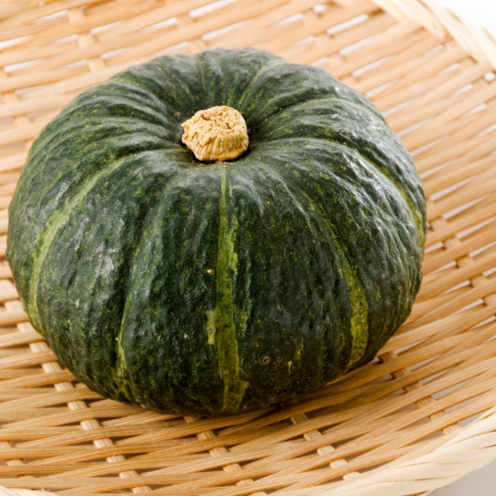 햇미니밤호박 보우짱 제주밤호박제철 보짱 국내산 맛있는 제주도미니단호박 1kg, 1개 - 상품 이미지