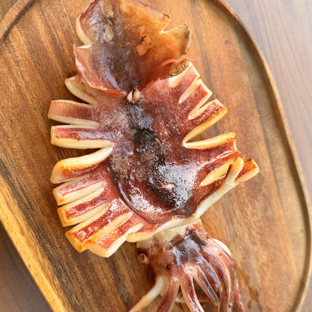 반건조 오징어 대 10미 말린 피데기 동해 반건 피대기 버티구이 건 건조 핏줄