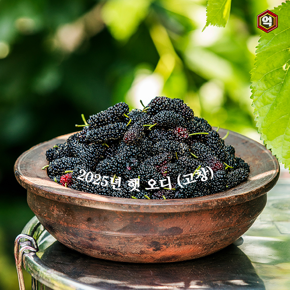 [억수로상회] 고창 오디 과상2호 (특품) / 급냉 4kg, 1개 - 상세 이미지 5