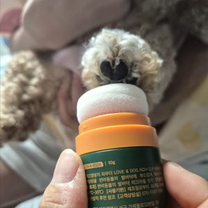 아이리스 강아지 미끄럼방지 파우더 발바닥 보호제 관절 보호 슬개골탈구 논... 솔직 후기 | 실제 사용자 리뷰 총정리 - 상품 이미지 3