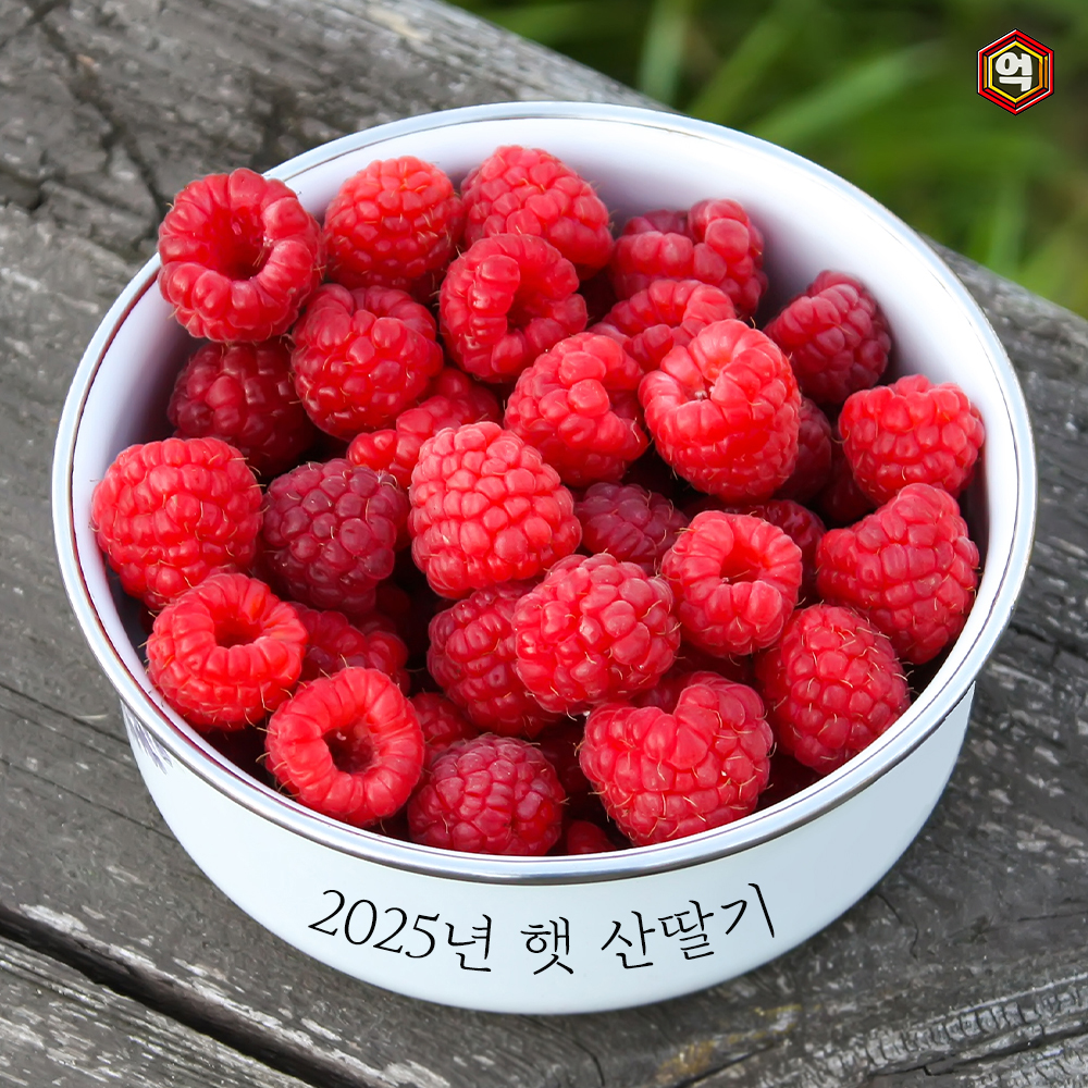 [억수로상회] 산지직송 25년 산딸기 (급냉) 2kg 이미지 6