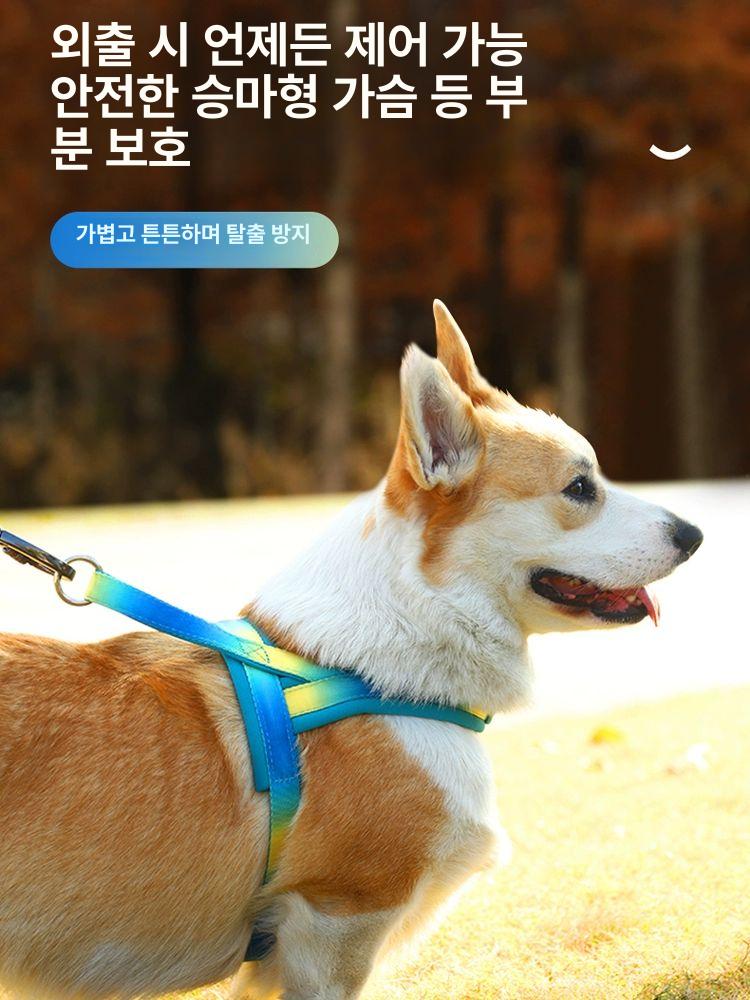 강아지 중형견 하네스 멀로 앞섬방지 초경량 소형견 그라데이션 옐로우 블루 XS-가슴 - 상세 이미지 3