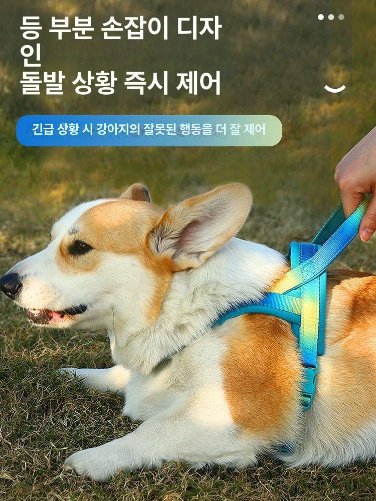 강아지 중형견 하네스 멀로 앞섬방지 초경량 소형견 그라데이션 옐로우 블루 XS-가슴 - 상세 이미지 4
