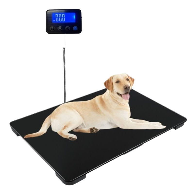 대형견체중계 동물병원 보호소 정밀펫저울 검진용 검정 65x45cm 배터리
