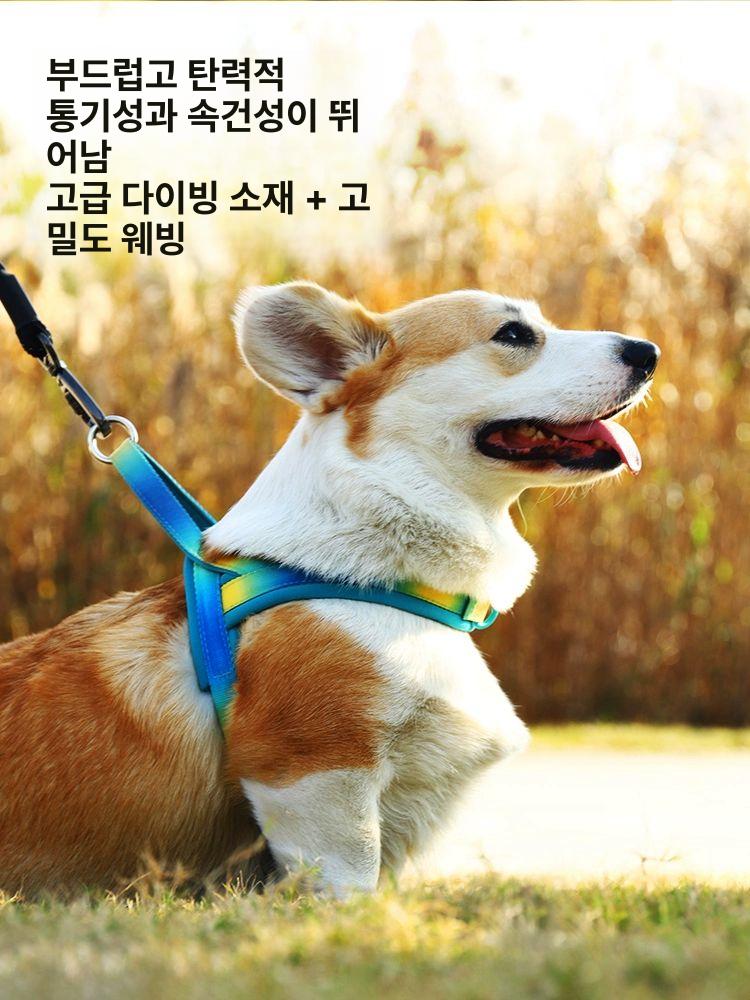 강아지 중형견 하네스 멀로 앞섬방지 초경량 소형견 그라데이션 옐로우 블루 XS-가슴 - 상세 이미지 5
