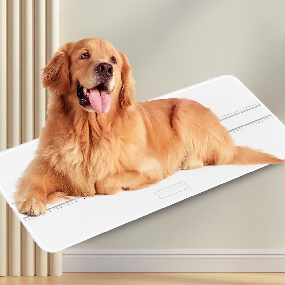 대형견 체중계 가정용 반려동물 몸무게 측정기 전자저울 화이트 690X330mm
