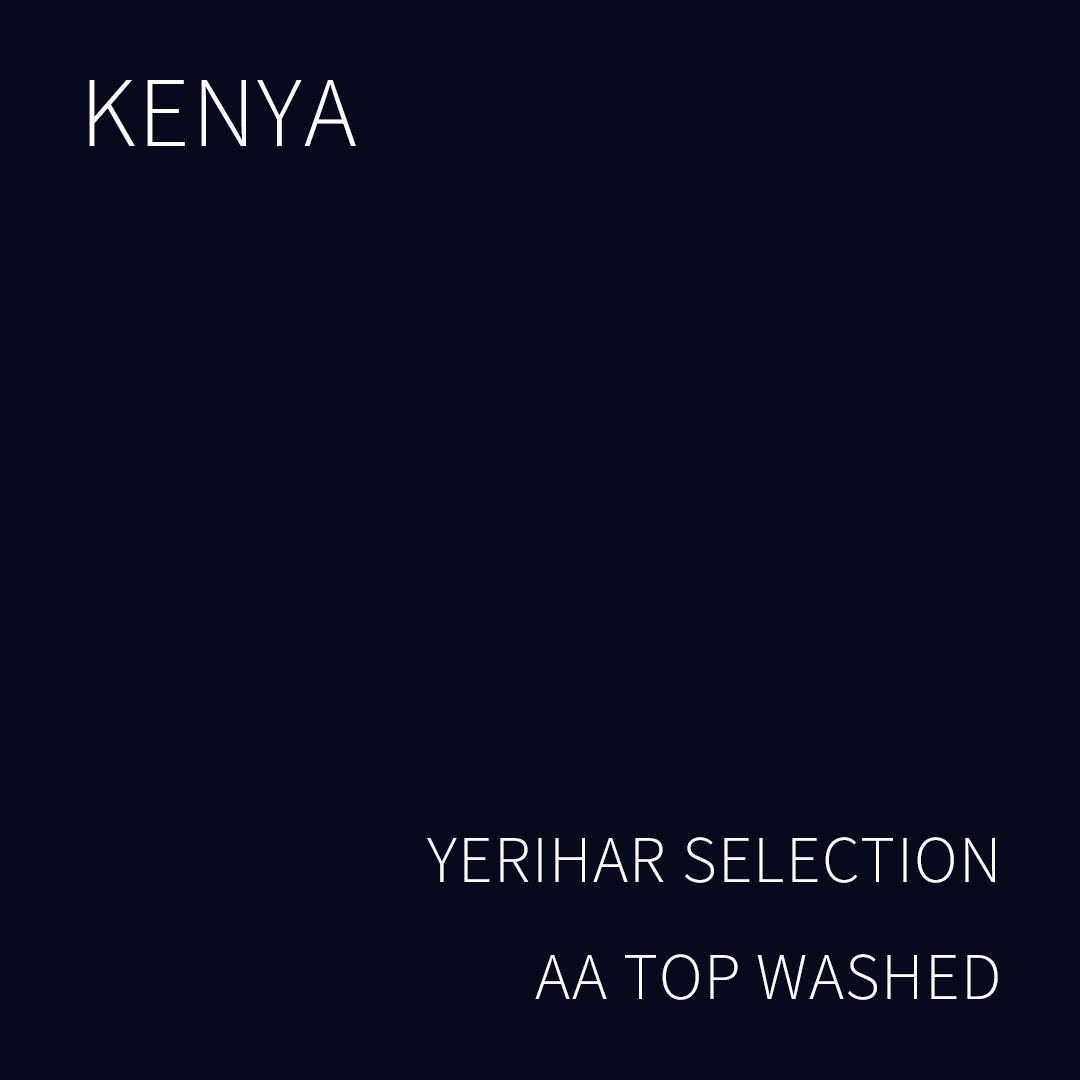 (2025 뉴크롭) 베르데 트레이드 케냐 예리하 셀렉션 AA TOP 워시드 1KG (KENYA YERIHAR SELECTION AA TOP WASHED)