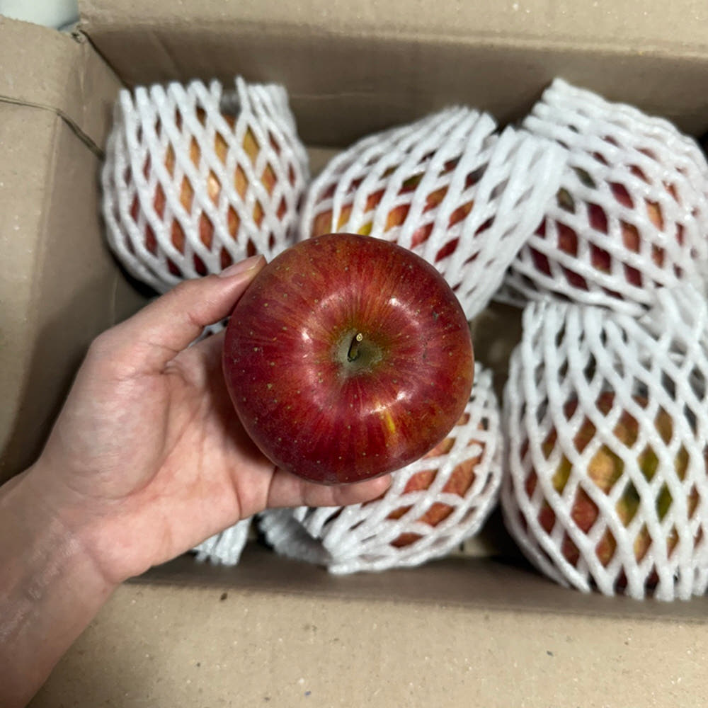 [금서율네] 사과 청송 꿀 부사 쥬스용 사과 5kg 10kg - 상세 이미지 5